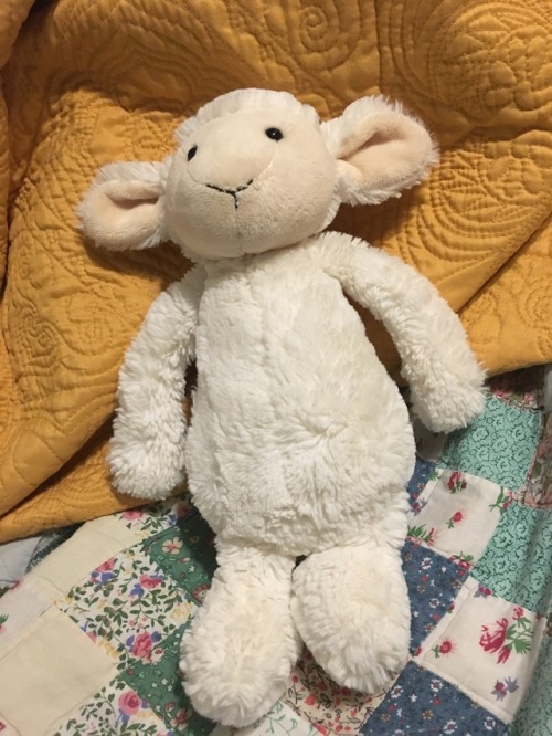grassstains:i have lots of lamb friends!!