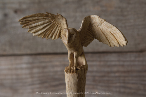 The Barn Owl Spoon (2018) - SoldCarved in English Oak by axe and knife.This spoon was inspired by a 