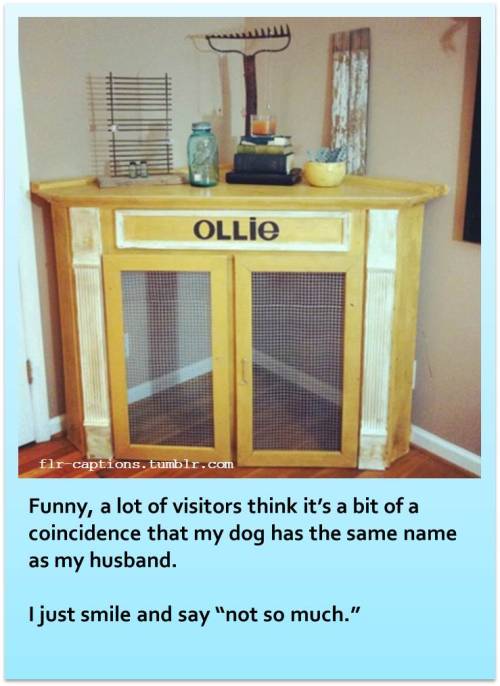 Funny, a lot of visitors think it’s a bit of a coincidence that my dog has the same name as my husband.   I just smile and say “not so much.”     | Caption Credit: Uxorious Husband