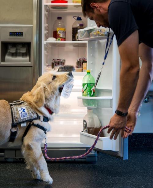 Cavit couldn’t be any happier to train with Marine Corps Veteran, Kevin, at Warrior Canine Con