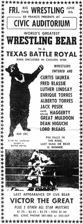 cryptofwrestling:Vintage Pro Wrestling ad from Hawaii, with Victor the  Wrestling Bear (1960s).