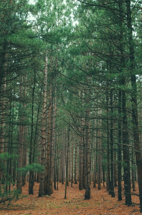 caseyngarner:  Home   by: Casey Garner 