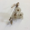 Porn piercednipples:Desiccated dandelion at the photos