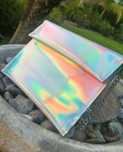 holy holographic!