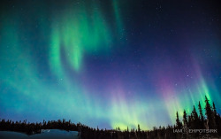 iamrehpotsirk:  Aurora Borealis - NWT Canada 2014www.iamrehpotsirk.tumblr.com