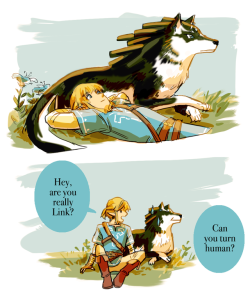 jhoca: link has questions for wolf link (part