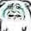 raryp