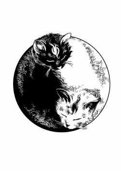 cosmic-flame-of-creation:Yin Yang Cats |♡|