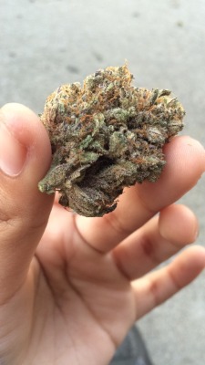 maryjuanaa420:  Today’s find 