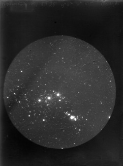 dame-de-pique:  The Orion nebula and its