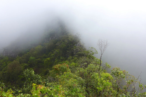 Mount Kaala, Oahu by cascade hiker on Flickr.