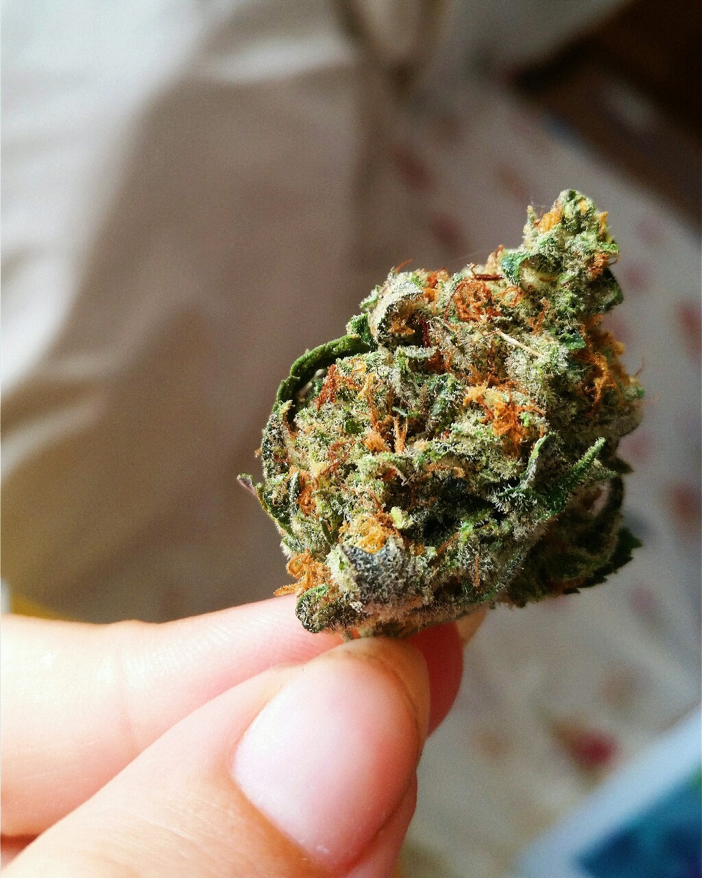 superbly-stoned:  in love with this lil nug   purrrrtttty😍