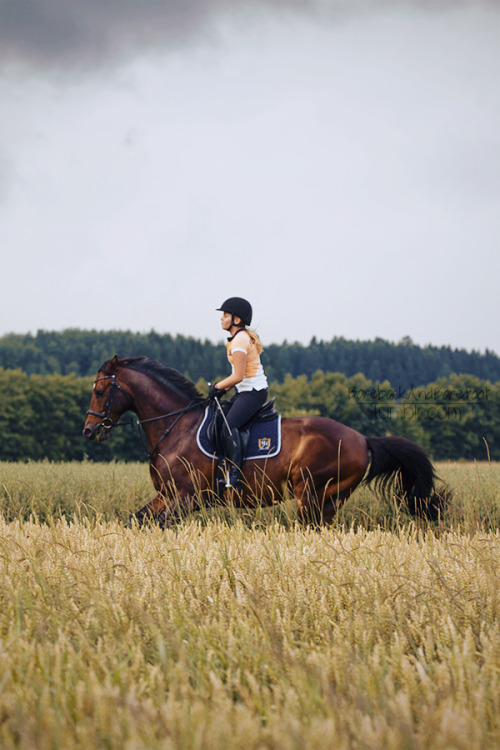 barebackandbarefoot:  canter on summer fields