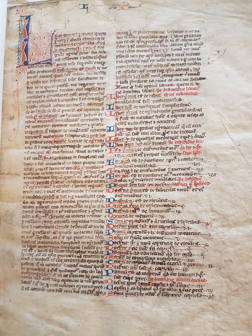 LJS 359 - Liber CanonisWritten in England, between 1250 and 1299 CE, this manuscript features some s