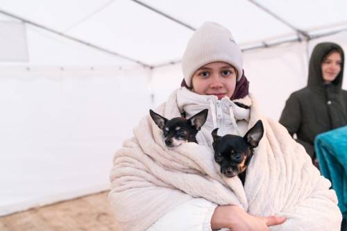 blueboyluca: Pets of war: Ukrainians take comfort from their animals as they flee the conflict – in 