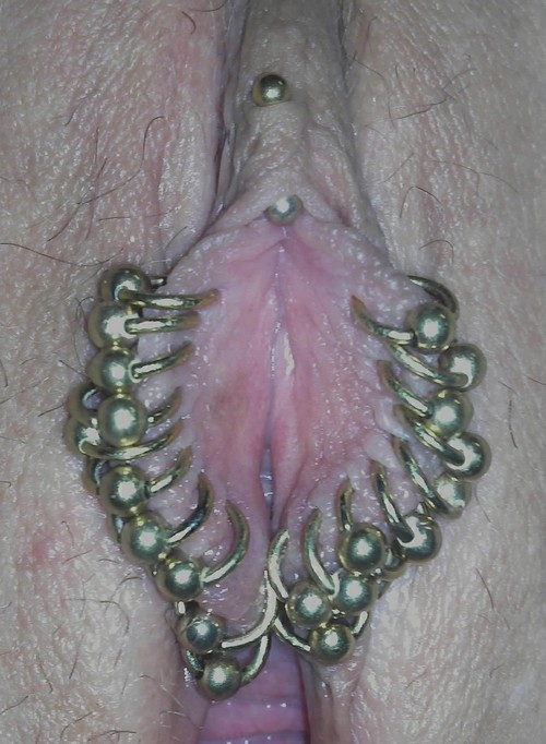 pussymodsgaloreA much pierced pussy, she porn pictures