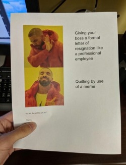 freshest-memes:  This is what a letter of resignation should look like