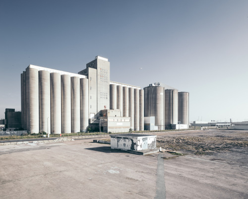 cosimocosimo: 1/365 by jared leopard