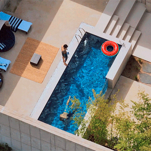 Fun Time In The Pool