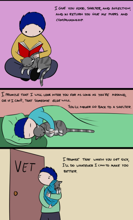dirstel:  withtimeonmyhands:  robothugscomic:  New comic! (link) I don’t care if they can’t understand me. They may be garbage cats, but they’re my garbage cats.   I’M NOT CRYING YOU’RE CRYING.  I’M DEFINITELY NOT CRYING IT MUST BE YOU. 