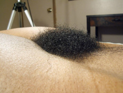 hairymex.tumblr.com post 43895694464