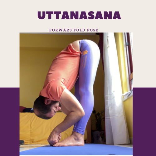 Sometimes, All We Need Is A New Perspective. No One Said That An Asana Has To Have Just That Figure.
