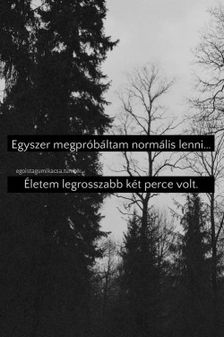 Es kajak xddd
