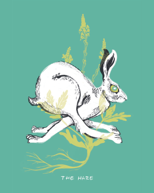 witchy business card - the hare