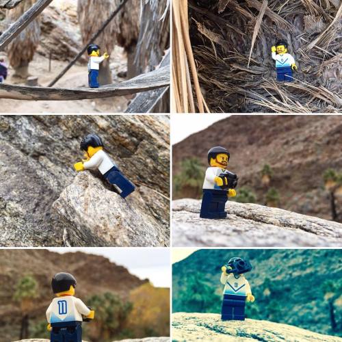 It was an adventure to get the perfect picture! #legos #palmsprings #indiancanyons #minifigs (at Ind