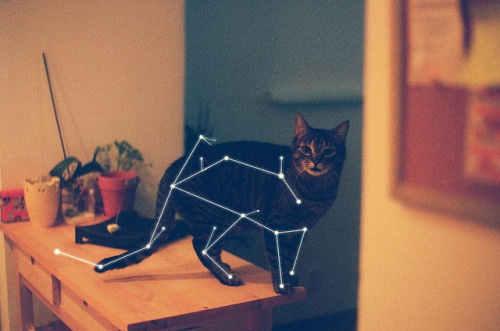 unterihremkissen:constellation in fading by Devoided on Flickr.