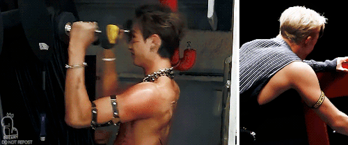 @anon: Chans Arms Vs Chans Abs| Make Me Choose