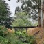 boredwallaby