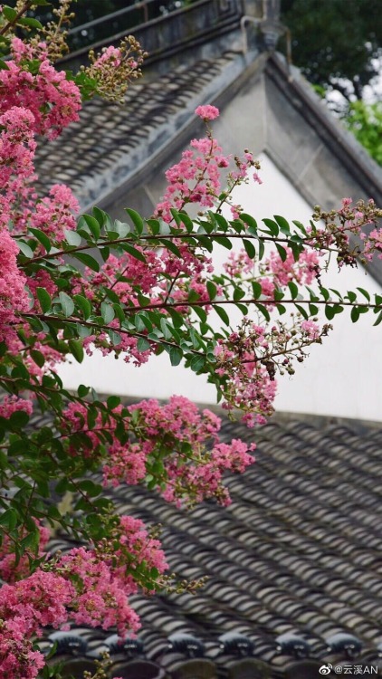 fuckyeahchinesegarden:愚园yuyuan, nanjing, jiangsu province by 云溪AN