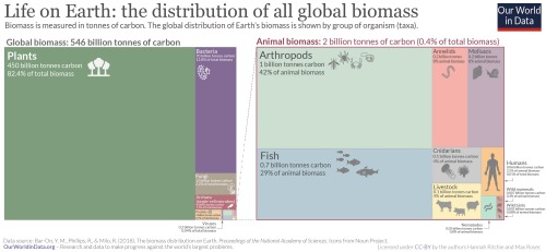 sizzlingsandwichperfection-blog:  Animals comprise 0.4% of all global biomass. (And almost all animal biomass is either arthropods, fish, or worms.)I find it helpful to remember sometimes that almost everything alive is plants or bacteria.