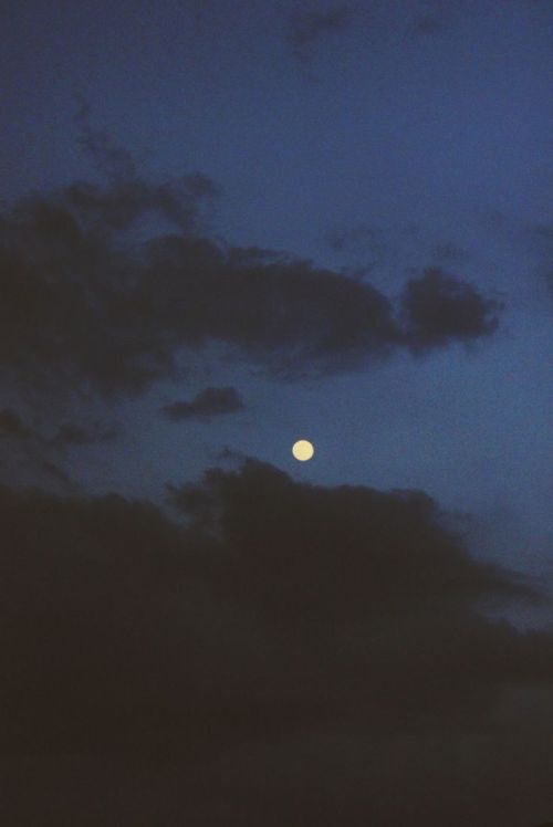  Photo by: Josh Dela Cruz 