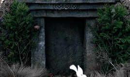 d30f71cae6e64a4b8c496477b438901c7dfbb82c.gif