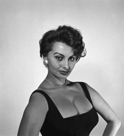 gatabella:Sophia Loren, c.1954