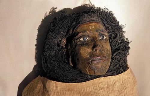 egypt-museum:Mummy of Queen HenuttawyThe whole body of Queen Henuttawy’s mummy was colored in 