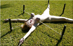 slavecafe:  Breast bondage from BDSM Tube