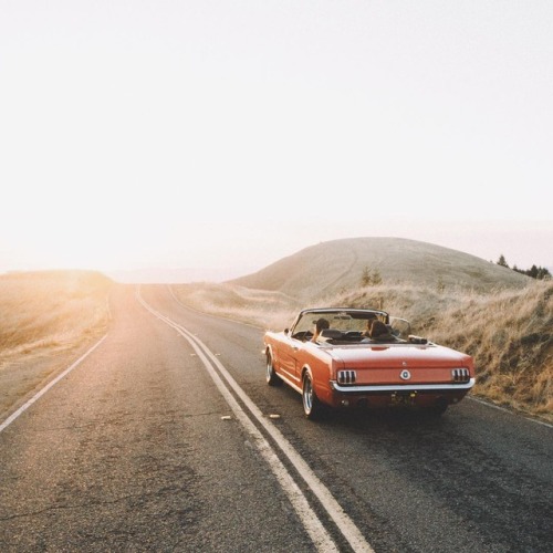 gyalskin: Follow annaloray for dope content!