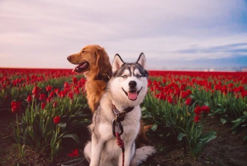 babyanimalgifs:  What did we ever do to deserve these creaturesbaby animals blog