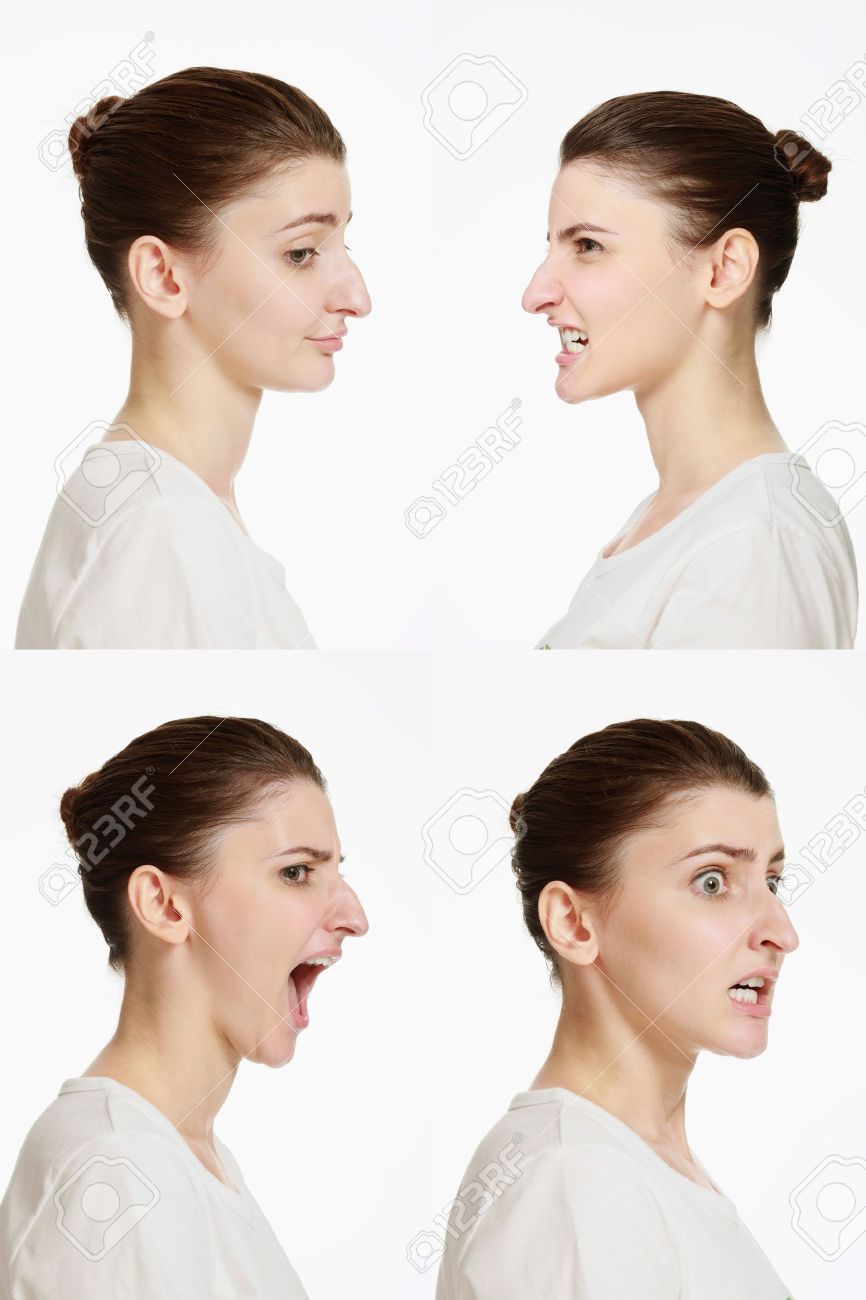 art-res:  catghost2: high quality expression references with varied facial types
