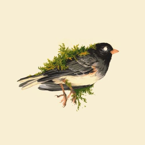 ex0skeletal-undead:Birds by Teagan WhiteThis artist on Instagram // Shop