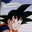 gokustits