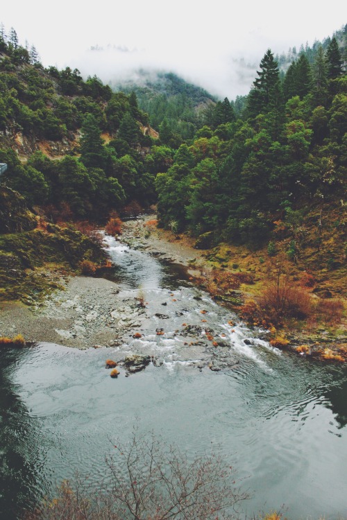 cup-of-teal: oregon | by cup-of-teal