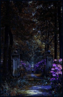 opticallyaroused:  Midnight Garden Gate