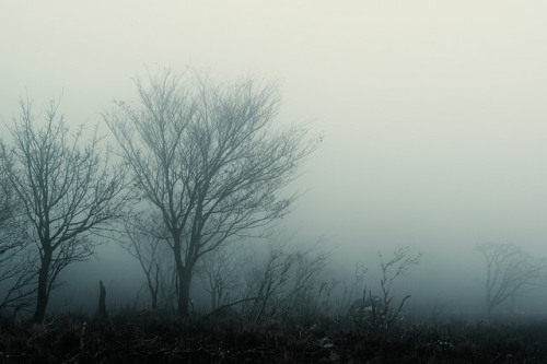 Mt. Ryozen / Shiga Prefecture by sf1003！ on Flickr.