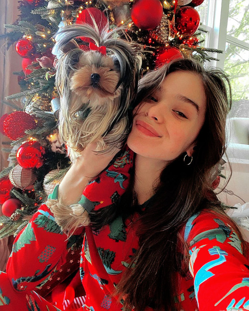 dailyhailee:haileesteinfeld: a very merry christmas it was indeed. i hope you all are having a beaut