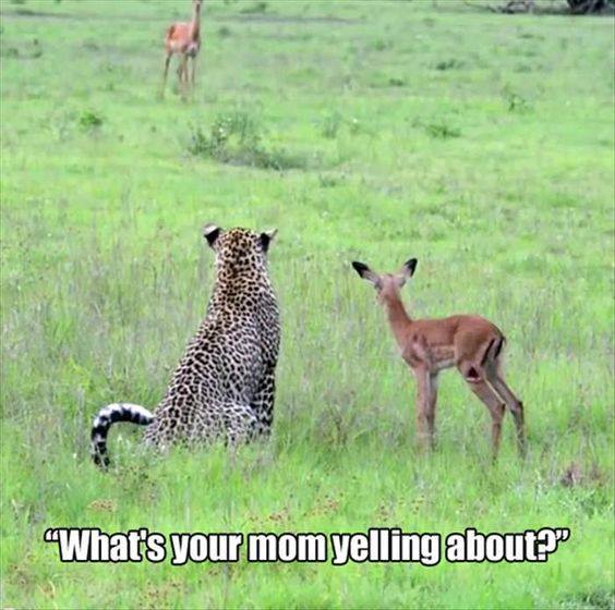 idk, she’s always freaked about something