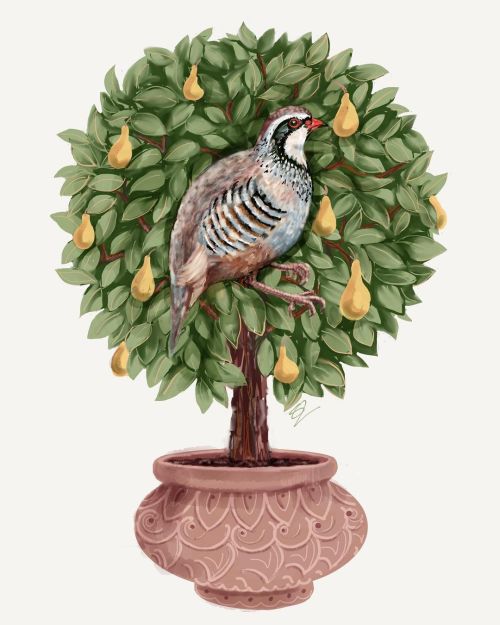 A Partridge in a pear tree: on the 1st day of Christmas #12daysofchristmas #1stdayofchristmas #partr